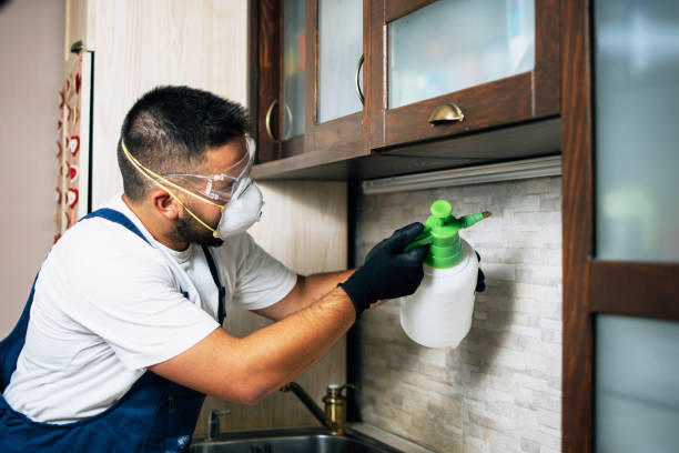 Best Exterminator Services  in Clare, MI