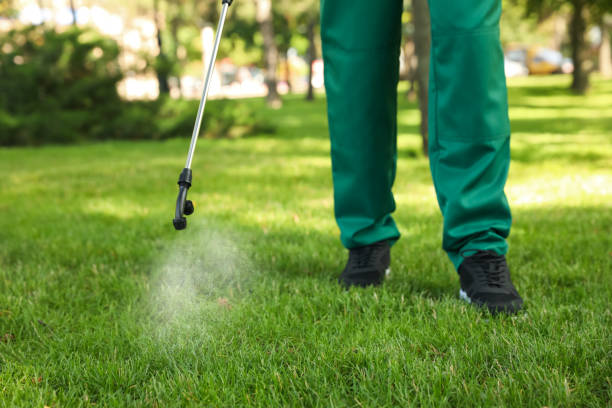  Clare, MI Pest Control Pros