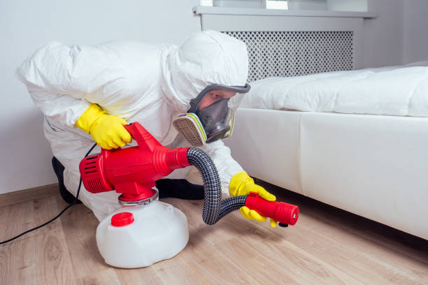 Trusted Clare, MI Pest Control Experts