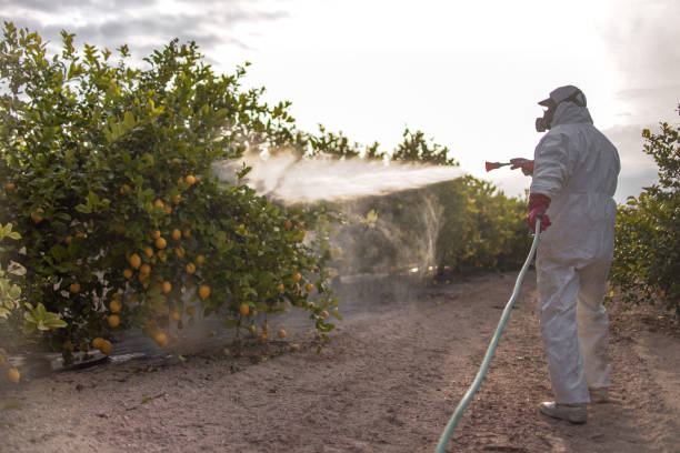 Best Pest Removal Services  in Clare, MI