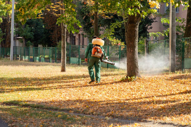 Best Pest Prevention Services  in Clare, MI