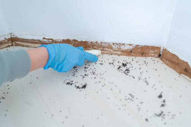 Clare, MI Pest Control Company